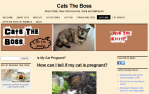 CatsTheBoss.com