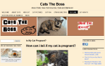 CatsTheBoss.com